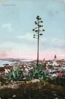 Mali Losinj, Lussinpiccolo (Rb)