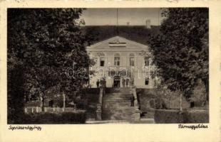 Sepsiszentgyörgy county hall (small tear)