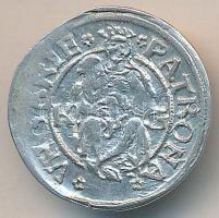 1512K-G. Denár "II. Ulászló" T:2 Huszár 811.,Unger I.: 646.c