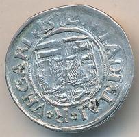 1512K-G. Denár "II. Ulászló" T:2
Huszár 811.,Unger I.: 646.c