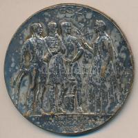 Berán Lajos (1882-1943) 1935. "TESZ-Nemzeti Munkahét 1934. / ALFÖLDI HÉT 1935." ezüstözött Br emlékérem (61mm) T:2,2-