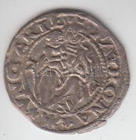 1526. Denár Ag "II. Lajos"  T:2 Huszár 841.,Unger I.: 673.a