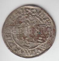 1519. Denár Ag "II. Lajos"  T:2- Huszár 841.,Unger I.: 673.m