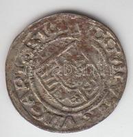 1519. Denár Ag "II. Lajos"  T:2-
Huszár 841.,Unger I.: 673.m