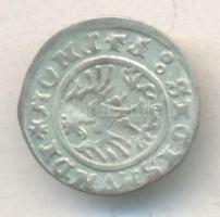 Lengyel Királyság / Krakkó 1509. 1/2Gr Ag "III. Zsigmond" (0.91g) T:2,2-
Poland / Krakow 1...