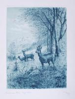Ismeretlen jelzéssel: Szarvasok és őzek. 2db színes rézmetszet, német aláírással, 33x25cm