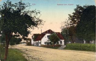 Cilli Gasthaus C (EM)
