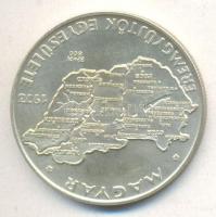 Csúcs Viktória (1934-) 1973. MÉE Budapest - Magyarország Ag emlékérem (25.15g/0.800/42,5mm) T:1-