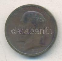 Berán Lajos (1882-1943) 1925. "Jókai Mór - A Nagy mesemondónak hálás nemzete" Br emlékérem (36mm) T:3