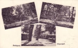 Budapest IV. Népsziget, Gázművek és köztisztviselők csónakháza, Fonyó vendéglő, Duna csónakház