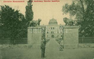 Homonna Sándor Andrássy castle (EK)