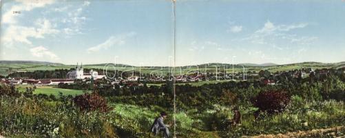 Zirc nagy méretű panorámalap (36 cm × 14 cm)