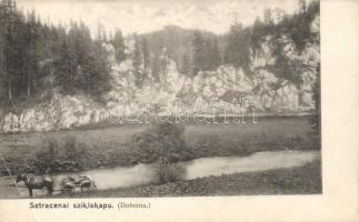 Sztracena Dobsina (fa)