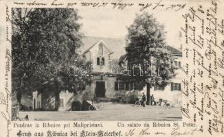 Ribnica (Mala Pristava)