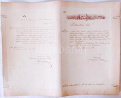 1860 2db hivatalos levél Johann Siebenfreud nagyszombati kertész számára Heves Vármegye Gazdasági Egyesülete, ill. a Magyar Gazdasági Egyesület elnökétől, az utóbbi selyemhernyó-tenyésztés ügyében, kartonra kasírozva, 40x51cm