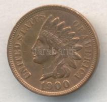 Amerikai Egyesült Államok 1900. 1c Br "Indián" T:2/2-
USA 1900. 1 cent Br "Indian&quo...