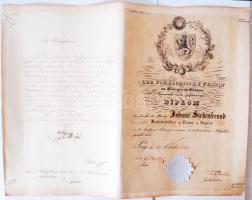1853 A Csehországi Gyümölcskertészek Egyesületének oklevele Johann Siebenfreund nagyszombati kertész számára, melyben rendes taggá nevezik ki, szárazpecséttel és 15k szignettával, mellette német nyelvű hivatalos levél ugyancsak kertészeti témában /  Der Pomologische Verein im Königreiche Böhmen, diploma for gardener Siebenfreund in Tyrnau with dry seal and signetta, 52x40cm