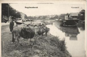Nagybecskerek canal, load-carrying donkey (EK)