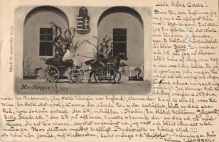 Mezőhegyes kastély, fogat (kis szakadás / small tear)