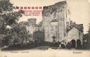 Budakeszi Máriamakk trinitárius templom romjai (EK)