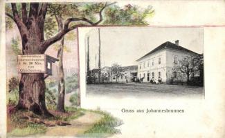 Johannesbrunnen, tree with advertisement, Emb.