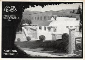 Sopron Lövér szálló (kis szakadás / small tear)