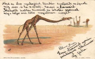 1898 Giraffe litho (small tear)