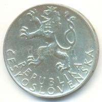 Csehszlovákia 1947. 50K Ag "Szlovák felkelés" T:2
Czechoslovakia 1947. 50 Korun Ag "S...
