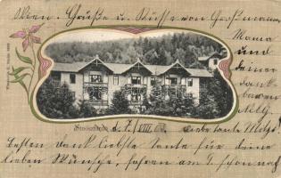Stoószfürdő Art Nouveau litho