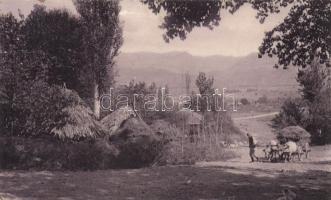 Nis region, peasant huts, ox cart