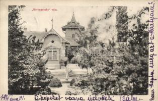 Kecskemét Koritsanszky villa (EK)