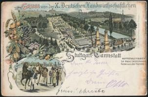 1896 Stuttgart - Bad Cannstatt X. German Agricultural Expo, litho