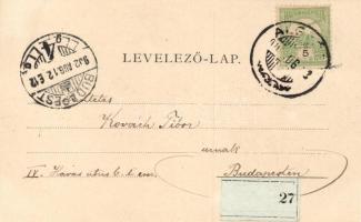 Algyógy, Gróf Kun Kocsárd székely földmíves iskola / agricultural school