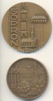Bogár Lívia (1957-) 1984. "Soproni Városszépítő Egyesület" Br emlékérem (49mm/61g) T:1 + Renner Kálmán (1927-1994) 1977. "Sopron 1277-1977" bronz emlékérem (60mm) T:2