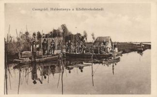 Csongrád halásztanya a Kőrös torkolatnál