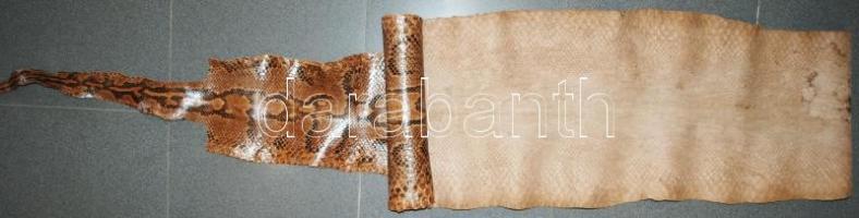 cca 1960 Nagyméretű, szépen kikészített kígyóbőr. 4,2 m hosszú / Large, nicely prepared snakeskin 4,...