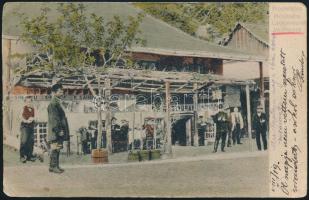 Verciorova, Varciorova, Varcsaró; Cosmanescu's restaurant (EB)