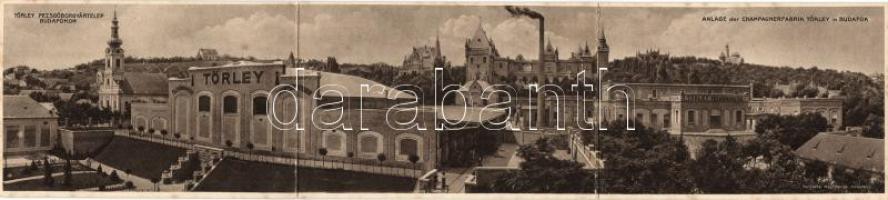 Budapest XXII. Budafok Törley pezsgőborgyár panoramacard
