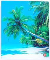 170 darabos magyar telefonkártya gyűjtemény gyűrűs berakóban