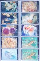 910 darabos nagyon szép világ gyűjtemény: Olaszország, Vatikán, San Marino, Sierra Leone, Ausztrália...