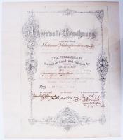 1856 Elismerő oklevél a Prágában megrendezett Német Földművelők és Erdészek XVIII. Találkozójáról Johann Siebenfreud nagyszombati gyümölcskertész részére / XVIII. Versammlung deutscher Land- und Forstwirthe Prag, diploma for gardener Siebenfreud from Tyrnau, 40x35cm