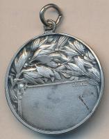 Lux Elek (1884-1941) / Ludvig József (XX.sz eleje) ~1930. "Matolay Elek - 1836-1883" díjér...