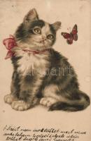 Cat litho