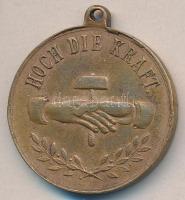 Osztrák-Magyar Monarchia DN. "Ferenc József" propaganda Br medál mellszalag nélkül T:2-
Au...