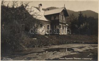 Steinhaus am Semmering, Pension Doppelreiter