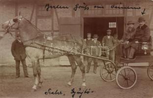 Horse Traber, photo (EB)