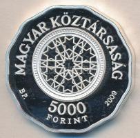 2009. 5000Ft Ag "Dohány utcai zsinagóga" T:PP