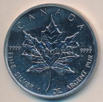Kanada 1989. 5$ Ag "II. Erzsébet / Juharlevél" (1oz/0.999) laminált fóliában T:BU
Canada 1...