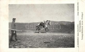 Tornagyakorlat lovon, kép a &quot;Hadsereg&quot; folyóiratból / callisthenics with horse, photo from the &quot;Army&quot; journal (EK)