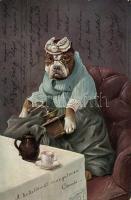 Dog as an old lady